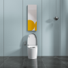 Smart Toilet U-Shaped LED Light Automatic Flush with Remote Control/Foot Sensor/Night Light